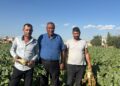 Pancar üreticisi fiyat bekliyor, çiftçinin beklentisi en az 4 bin lira