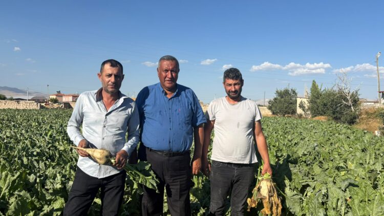 Pancar üreticisi fiyat bekliyor, çiftçinin beklentisi en az 4 bin lira