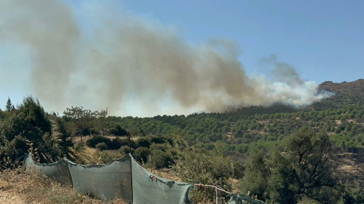 Ödemiş’te orman yangını! 2 uçak ve 3 helikopter bölgeye sevk edildi
