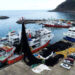 Karadeniz’de “Vira Bismillah” için geri sayım! Bu sezon palamut umudu yüksek