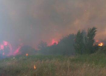 Çanakkale’nin Ezine ilçesinde otluk alanda çıkan yangın, ormana sıçradı. Yangına havadan ve karadan müdahale ediliyor. Fotoğraf: Çanakkale, (DHA)