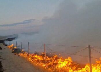 Polatlı'da yangın çıkaran şüpheli tutuklandı