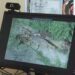 Evlerde akrep alarmı! Uzmanı uyardı: “Bir tane gördüyseniz başkaları da olabilir”
