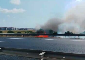 Silivri'de tarlada başlayan yangın rüzgarın da etkisiyle çevreye yayıldı. Olay yerine çok sayıda itfaiye ekibi sevk edildi. Fotoğraf: İSTANBUL, (DHA)