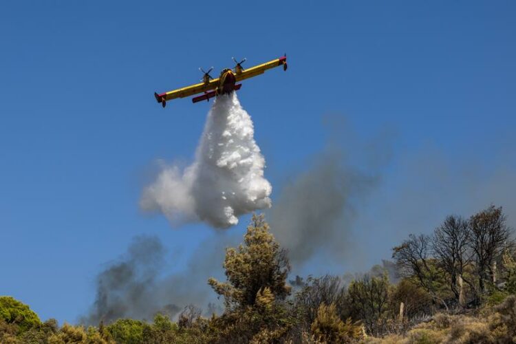 Orman yangınına müdahalede korkunç kaza! İki söndürme helikopteri havada çarpıştı