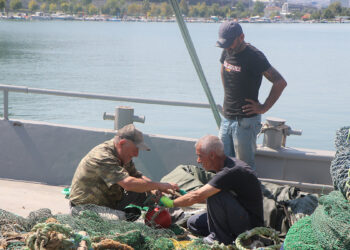 Balıkçılar yeni sezona hazır: Palamut bol, tüketim az