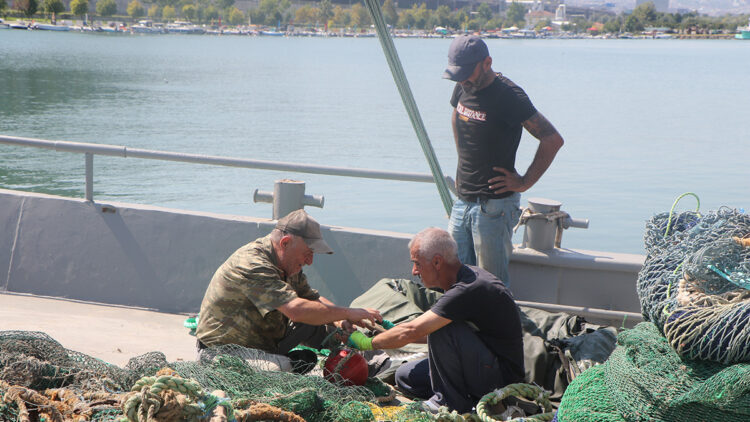 Balıkçılar yeni sezona hazır: Palamut bol, tüketim az