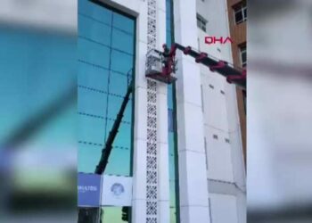 16 metre yükseklikte mahsur kalan kedi, kafes yöntemiyle kurtarıldı