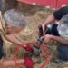 Lice kırsalında örtü yangını