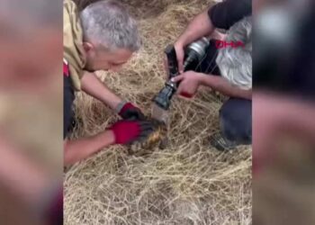 Lice kırsalındaki örtü yangını söndürüldü