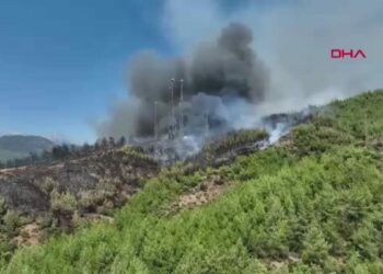 Muğla'daki yangınlarda 5 bin hektardan fazla alan zarar gördü (5) / Yangından dron görüntüleriyle