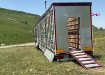 TIR dorsesini 'mobil bal üretim' tesisine dönüştürdü