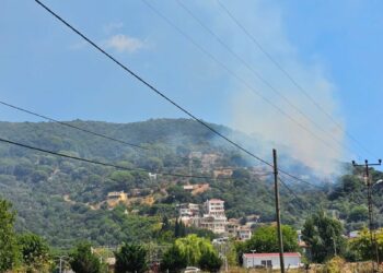 Marmara Adası’nda orman yangını