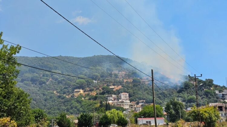 Marmara Adası’nda orman yangını