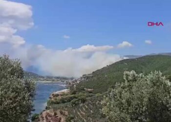 Marmara Adası’nda orman yangını