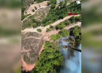 Antalya'da orman yangını