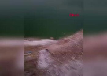 Siirt'te suda 12 yaşındaki çocuğun cansız bedeni bulundu; kayıp babası aranıyor