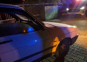 Köprü üzerindeki yayaya çarpan otomobilin kaçan sürücüsü yakalandı