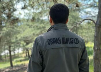 KDK'dan, diyabet hastası orman muhafaza memuru için 'açık arazide çalışmasın' tavsiye kararı