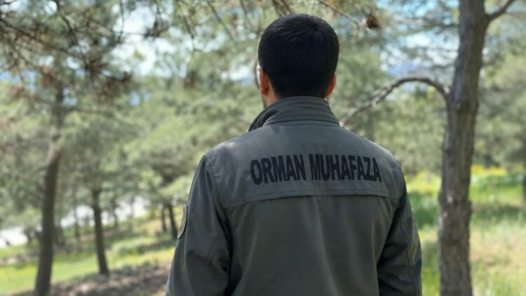 KDK'dan, diyabet hastası orman muhafaza memuru için 'açık arazide çalışmasın' tavsiye kararı