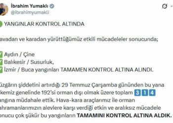 Bakan Yumaklı: Buca, Çine ve Susurluk'taki orman yangınları kontrol altında