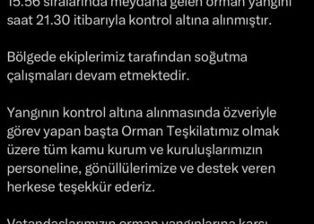 Çanakkale Orman yangını