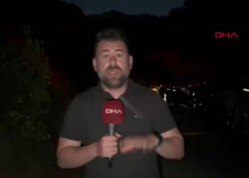 Munzur Vadisi Milli Parkı'nda orman yangını