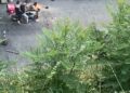 Beyoğlu’nda yarı çıplak önüne atladığı motosikletliyi düşürdü; duba sopa ve tekmeyle darbedildi