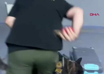 Valizdeki kıyafetlere emdirilmiş 7 kilo metamfetamin ele geçirildi