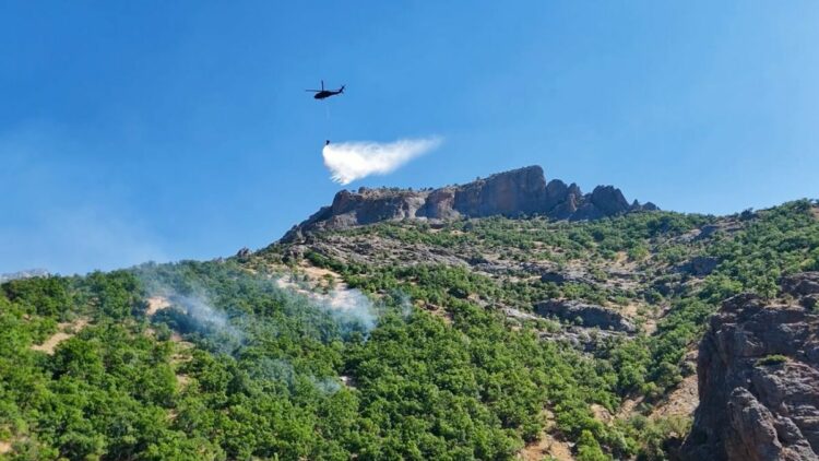 Munzur Vadisi Milli Parkı'ndaki yangın kontrol altına alındı
