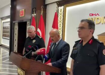 Vali Varol: Çine'deki orman yangınına ilişkin 2 kişi gözaltına alındı