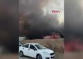 Manisa’da yumurta üretim tesisinde yangın