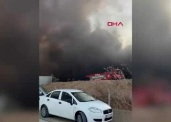 Manisa’da yumurta üretim tesisinde yangın