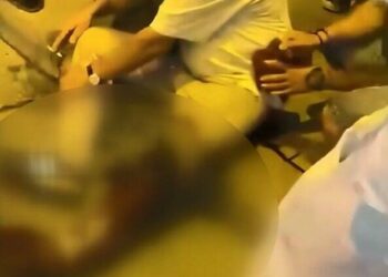 Beyoğlu'nda pitbull cinsi köpek terriere saldırdı; 'Köpeğini kontrol et' diyerek sahibini bıçakladı