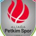 Petkimspor'a yeni logo