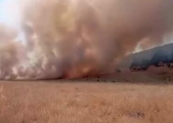 Tunceli'de ot yangını; alevlerin ormana sıçramaması için seferber oldular