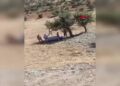 Patpat şarampole devrildi: 1 ölü, 3 yaralı