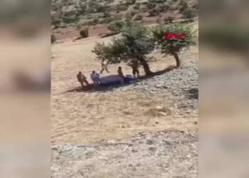 Patpat şarampole devrildi: 1 ölü, 3 yaralı