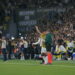 Fenerbahçe - Sturm Graz: 2-0