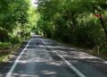 'Ağaç tünel yol'da seyrine doyumsuz manzara