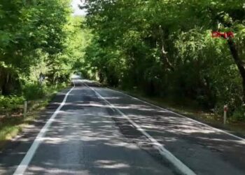 'Ağaç tünel yol'da seyrine doyumsuz manzara
