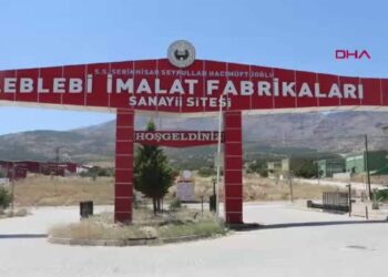 Serinhisar'dan 40'a yakın ülkeye leblebi ihracatı