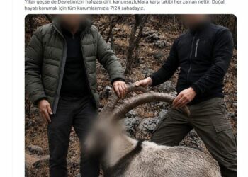6 yıl önce 5 yaban keçisini yasa dışı avlayan 2 kişiye para cezası