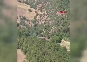 Bursa'da orman yangını