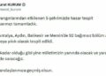 Orman yangınından etkilenen 5 ilde hasar tespit çalışmaları tamamlandı