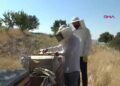 Gercüş’te arıcılar son 10 yılın en iyi bal hasadını bekliyor