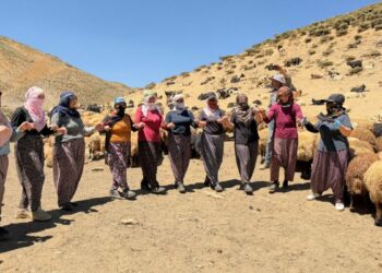 Yaylada süt sağımı sonrası halay çekerek stres atıyorlar