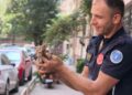 Gider borusuna sıkışan kediyi itfaiye ekipleri kurtardı