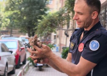Gider borusuna sıkışan kediyi itfaiye ekipleri kurtardı