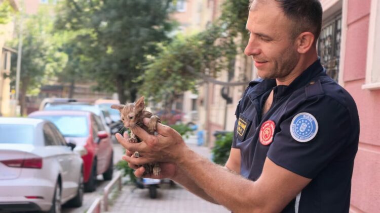 Gider borusuna sıkışan kediyi itfaiye ekipleri kurtardı